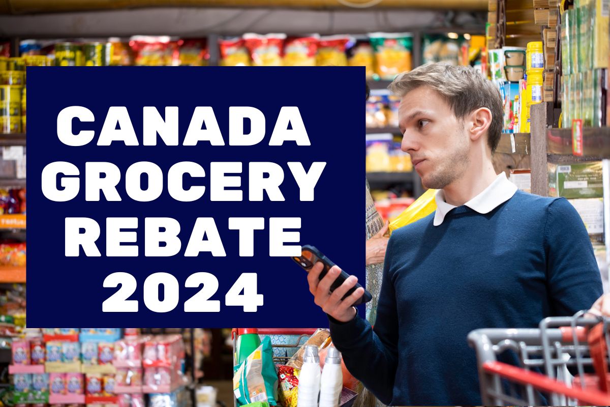 Canada Grocery Rebate 2024- Know Eligibility & Monthly Payment Dates 